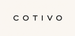 Oversized T Shirt Shop - Home